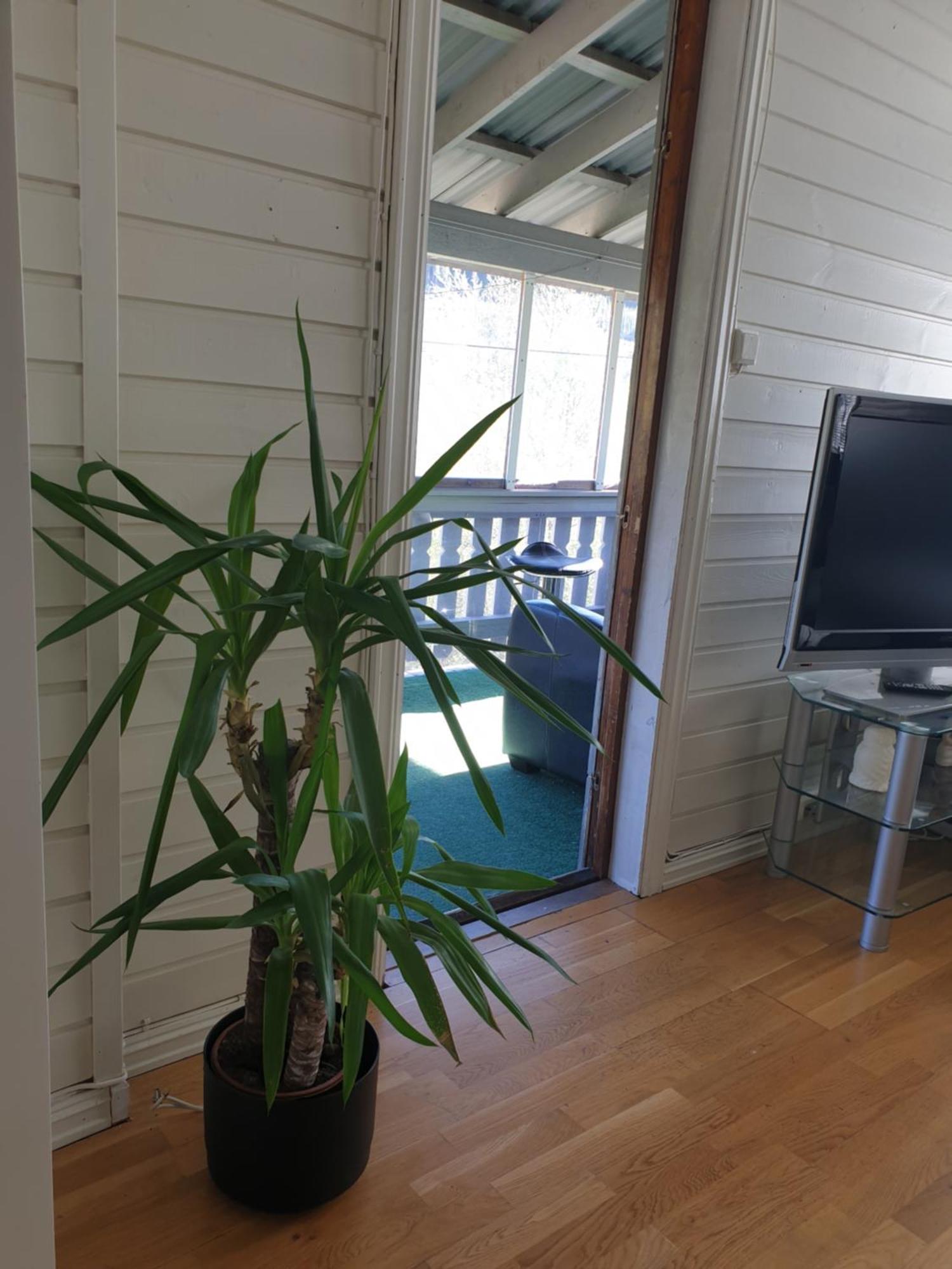 Holiday Home Гуль Экстерьер фото